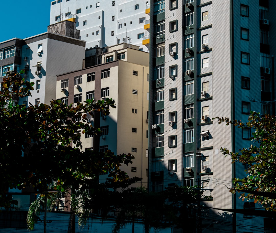 Urban layers: buildings, windows, and verdant shadows under a clear sky.